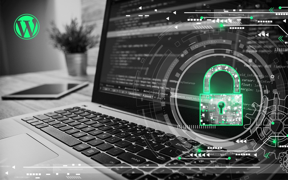 WordPress Security - 12 steps to secure and protect WordPress - Develtio